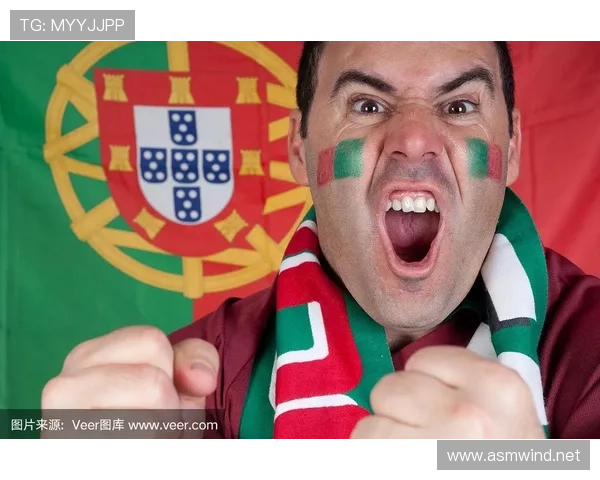 葡萄牙球迷热情
