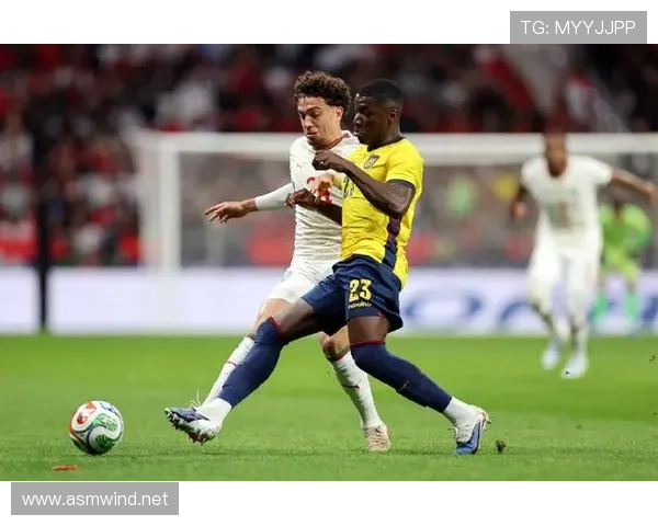 国家队关键战：恩佐在国际赛场的表现