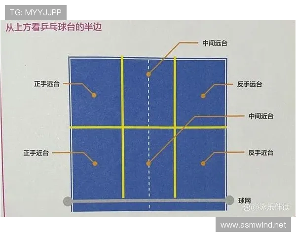关于发球干扰规则的判定标准与适用场景解析